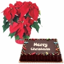 online xmas cake with flowers philippines
